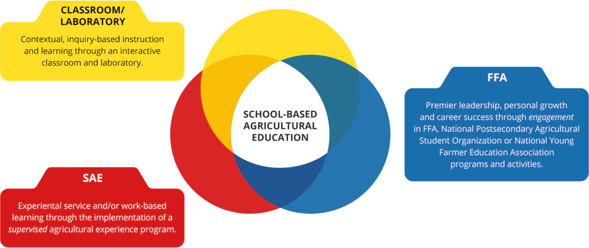 SAE for ALL SAE For All